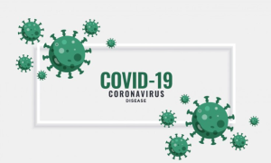 RESEP HERBAL HNI HPAI Apa itu Virus Corona Gejala & Penyebab