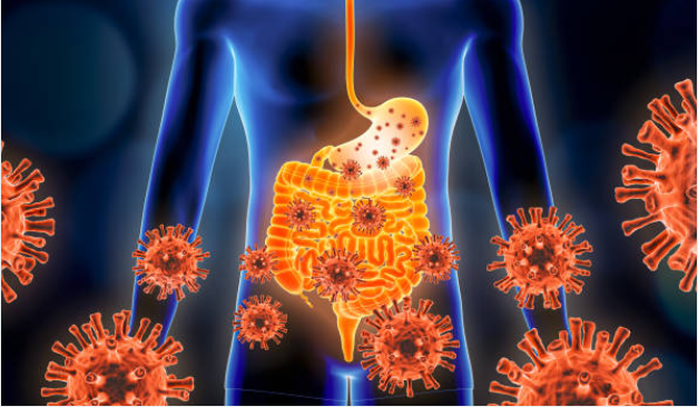 Resep Herbal HNI HPAI Gastroenteritis Gejala Infeksi Usus dan Penyebabnya