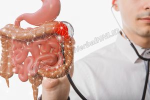 RESEP HERBAL HNI HPAI Penyakit Usus Buntu - Gejala, dan Penyebabnya